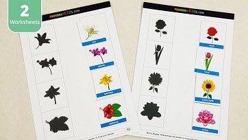 flowers learning activity worksheet